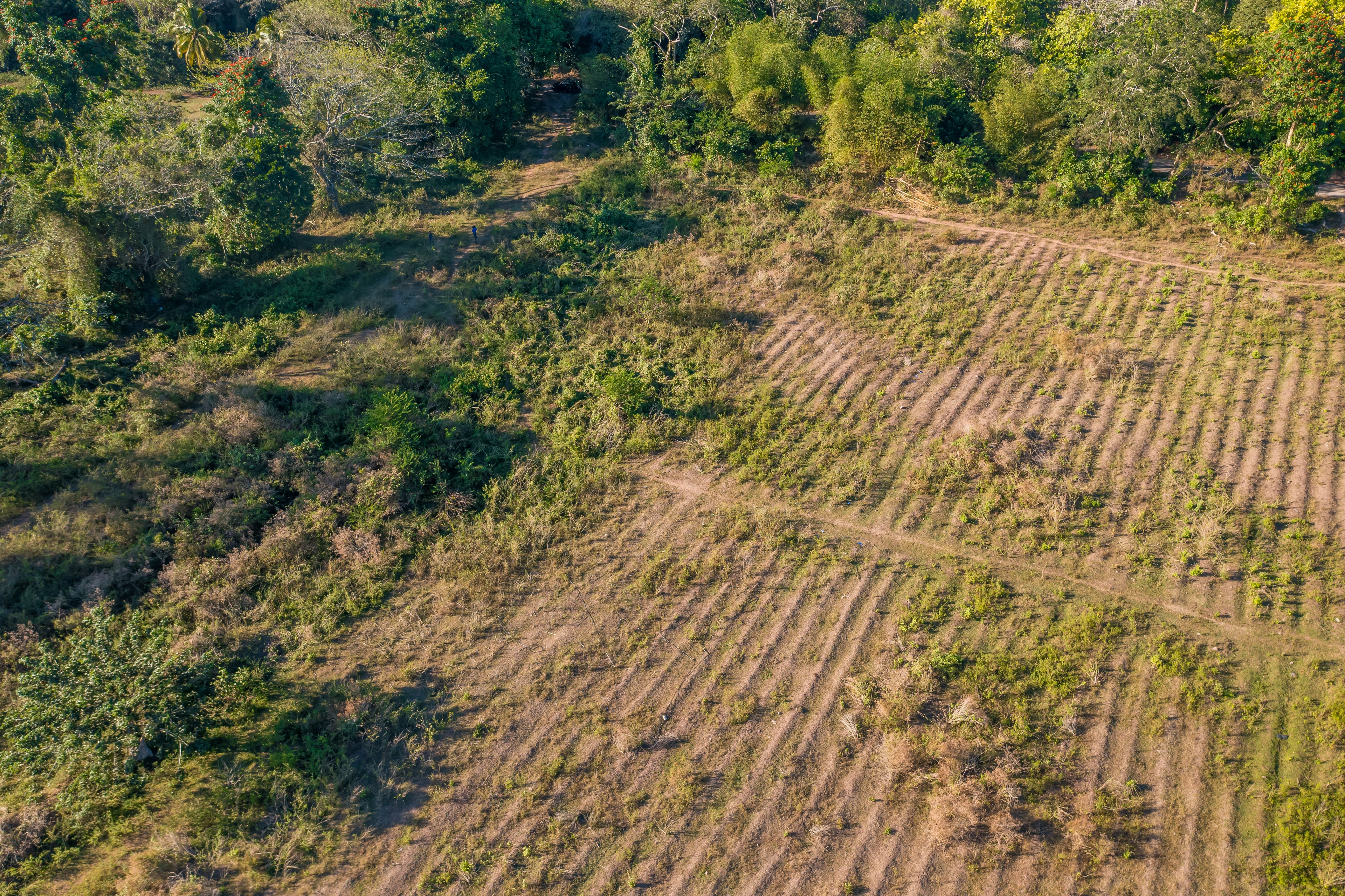 Drone aerial — DJI 0279, Morgan's Pass