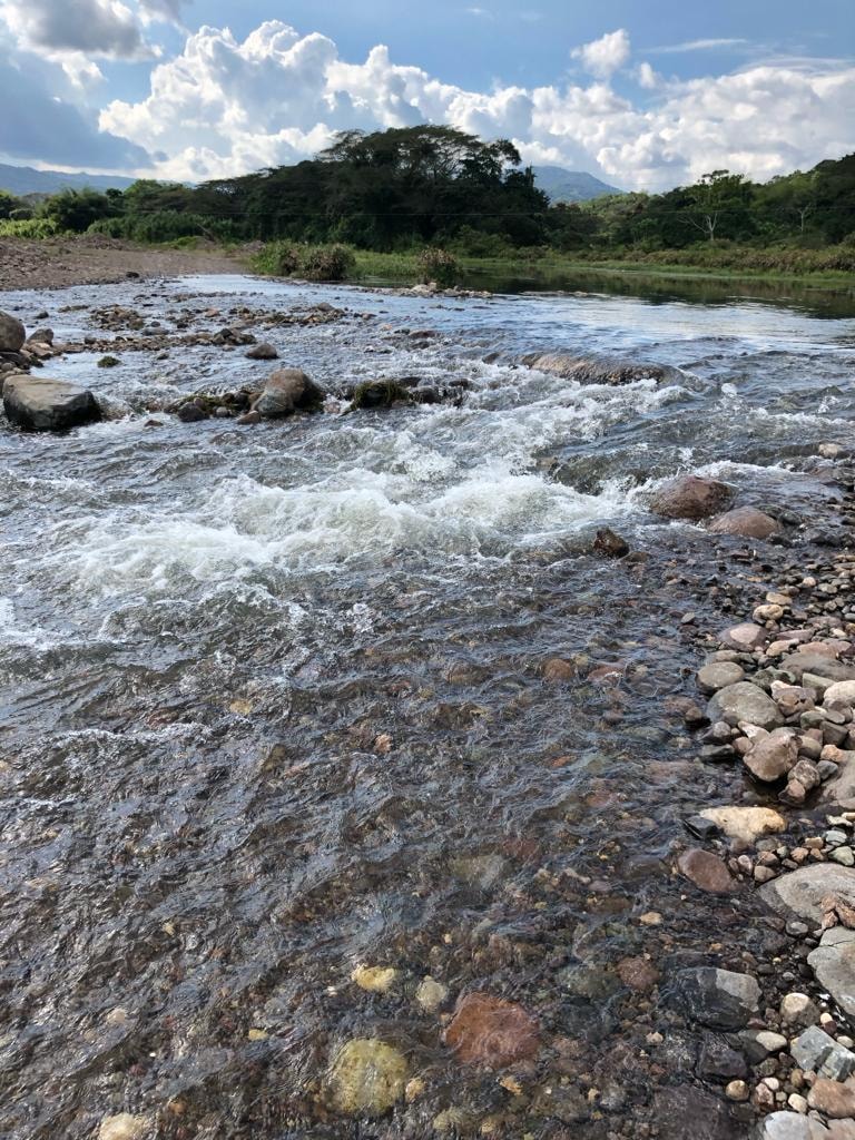 Natural aggregate deposit in the Rio Minho riverbed — the mineral resource the licence covers